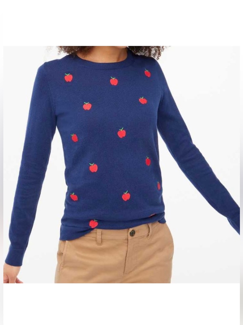 J. Crew Factory Teddie Embroidered Apples Sweater Navy 100% Cotton Size Large